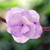 Broche de flor natural - Broche de hortensia violeta preservada tailandesa