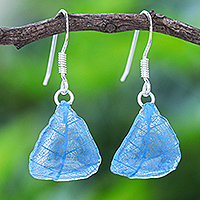 Ohrhänger mit Gummibaumblättern, „Earthly Delight in Blue“ – Ohrringe aus Sterlingsilber und blauen Gummibaumblättern