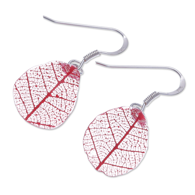 Rubber tree leaf dangle earrings, 'Earthly Delight in Red' - Sterling Silver and Red Rubber Tree Leaf Earrings