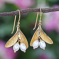 Gold-Plated Cultured Pearl Dangle Earrings,'Bearing Fruit'