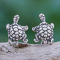 Sterling silver stud earrings, 'Slow Motion' - Thai Sterling Silver Stud Earrings with Turtle Motif