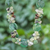 Multi-gemstone beaded necklace, 'Rainstorm' - Artisan Crafted Prehnite and Tiger's Eye Beaded Necklace (image 2b) thumbail
