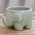 Celadon ceramic teacup, 'Lanna Elephant' - Handmade Celadon Teacup in Green