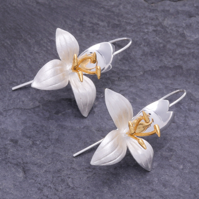 Gold-accented drop earrings, 'Botanical Season' - Artisan Crafted Gold-Accented Drop Earrings