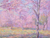 'Cherry Blossom at Phu Lom Lo' (2022) - Impressionist-Style Floral Landscape Painting