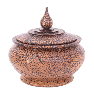 Wood decorative box, 'Palmyra Elegance' - Handcrafted Palmyra Palm Wood Decorative Box Brown