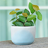 Ceramic flower pot, 'Dazzling Bud' - Handcrafted Ceramic Flower Pot with White and Blue Tones