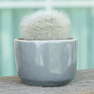 Ceramic flower pot, 'Grey Bud' - Handcrafted Ceramic Flower Pot with Polished Grey Surface