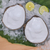 Ceramic snack plates, 'Marine Ambrosia' (pair) - Handcrafted Round Ceramic Oyster Snack Plates (Pair) thumbail