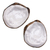 Ceramic snack plates, 'Marine Ambrosia' (pair) - Handcrafted Round Ceramic Oyster Snack Plates (Pair) (image 2c) thumbail