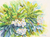 „Frangipani-Saison II“ – Impressionistische Aquarellmalerei von Frangipani-Blumen
