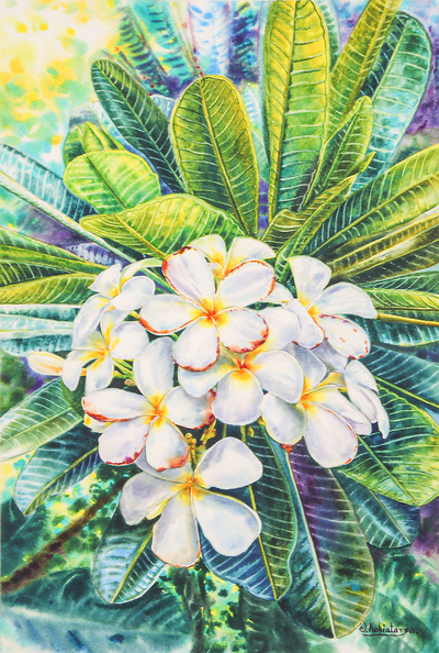 'White Frangipani II' - Signed Impressionist Watercolour Painting of White Flowers