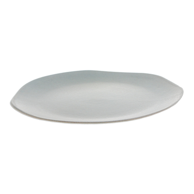 Ceramic dinner plate, 'Minimalist Ambrosia' - Handcrafted Modern Ceramic Dinner Plate in Matte Grey Hue