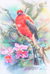 'Red-Headed Trogon' (2021) - Pintura realista de acuarela de pájaro trogón de cabeza roja