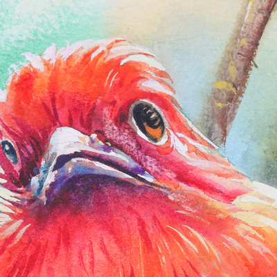 'Red-Headed Trogon' (2021) - Pintura realista de acuarela de pájaro trogón de cabeza roja