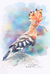 'Eurasian Abubilla' (2021) - Pintura realista de acuarela de pájaro abubilla euroasiático