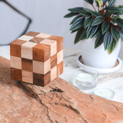 Wood snake cube, 'Logic Squares' - Handcrafted Natural Brown Raintree and Rubberwood Snake Cube