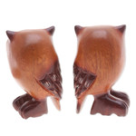 Wood figurines, 'Twin Wisdom' (set of 2) - Set of Two Han-Carved Raintree Wood Owl Figurines