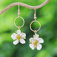 Vergoldete natürliche Blumenohrringe, „Heavenly Celebration“ – 22 Karat vergoldete natürliche Calabura-Blumen-Ohrhänger