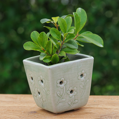 Mini-Blumentopf aus Celadon-Keramik - Mini-Pflanzgefäß aus Celadon-Keramik mit Blumenmotiv in Grün