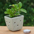 Mini-Blumentopf aus Celadon-Keramik - Mini-Pflanzgefäß aus Celadon-Keramik mit Blumenmotiv in Grün