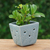 Celadon ceramic mini flower pot, 'Blue Little Garden' - Celadon Ceramic Mini Planter with Floral Motif in Blue (image 2) thumbail