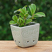 Celadon ceramic mini flower pot, 'Green Kitty Garden' - Cat and Floral-Themed Celadon Ceramic Mini Planter in Green