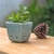 Celadon ceramic mini flower pot, 'Blue Kitty Garden' - Cat and Floral-Themed Celadon Ceramic Mini Planter in Blue (image 2j) thumbail