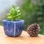 Mini-Blumentopf aus Celadon-Keramik - Mini-Blumentopf aus blauer Keramik in Knisteroptik mit Katzenmotiv