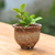 Ceramic flower pot, 'Earth Steps' - Handcrafted Crackled-Finish Earthy Brown Ceramic Flower Pot