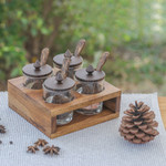 Wood and glass condiment set, 'Touch of Spice' (13 pieces) - Square Wood and Glass Condiment Set (13 Pieces)