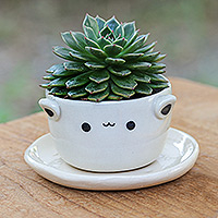 Mini maceta de cerámica, 'Kitty Charm' - Mini maceta de cerámica con platillo con temática de gato en marfil