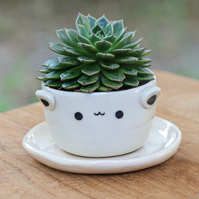 Mini macetero de cerámica. - Minimaceta de cerámica con platillo con temática de gato en marfil