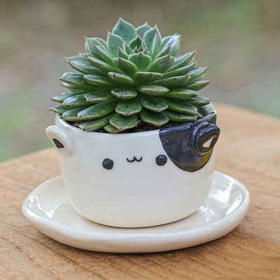 Mini-Blumentopf aus Keramik, „Kitty Delight“ – Mini-Blumentopf aus elfenbeinfarbener schwarzer Keramik mit Katzenmotiv und Untersetzer