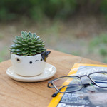 Ceramic mini flower pot, 'Kitty Delight' - Cat-Themed Ivory Black Ceramic Mini Flower Pot with Saucer