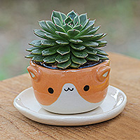 Mini-Blumentopf aus Keramik, „Kitty Joy“ – Mini-Blumentopf aus Keramik in Elfenbein-Orange mit Katzenmotiv und Untersetzer