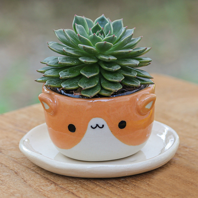 Ceramic mini flower pot, 'Kitty Joy' - Cat-Themed Ivory Orange Ceramic Mini Flower Pot with Saucer