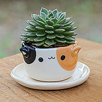 Mini-Blumentopf aus Keramik, „Kitty Enchantment“ – handgefertigter Mini-Blumentopf aus Keramik mit Katzenmotiv und Untersetzer