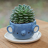 Mini maceta de cerámica, 'Sweet Elephant' - Mini maceta de elefante de cerámica azul y marfil con platillo