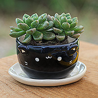 Ceramic mini flower pot, 'Kitty Splendor' - Cat-Themed Black Ceramic Mini Flower Pot with Ivory Saucer