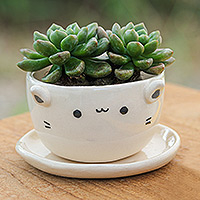Ceramic mini flower pot, 'Kitty Grace' - Handcrafted Ivory Ceramic Cat Mini Flower Pot with Saucer