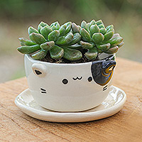 Mini-Blumentopf aus Keramik, „Kitty Magic“ – Handgefertigter Mini-Blumentopf aus Keramik in Katzenform mit Untersetzer