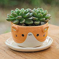 Keramik-Mini-Blumentopf „Kitty Energy“ – Keramik-Katzen-Mini-Blumentopf mit Untersetzer in Elfenbein und Orange