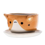Ceramic mini flower pot, 'Kitty Energy' - Ceramic Cat Mini Flower Pot with Saucer in Ivory and Orange