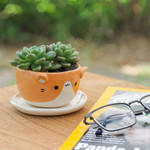 Ceramic mini flower pot, 'Kitty Energy' - Ceramic Cat Mini Flower Pot with Saucer in Ivory and Orange