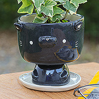 Ceramic mini flower pot, 'Midnight Kitty' - Cat-Shaped Black Ivory Ceramic Mini Flower Pot with Saucer