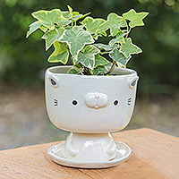 Mini-Blumentopf aus Keramik, „Endearing Kitty“ – Mini-Blumentopf aus elfenbeinfarbener Keramik in Katzenform mit Untersetzer