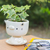 Ceramic mini flower pot, 'Endearing Kitty' - Cat-Shaped Ivory Ceramic Mini Flower Pot with Saucer