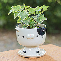 Mini-Blumentopf aus Keramik, „Adorable Kitty“ – elfenbeinfarbener Mini-Blumentopf aus schwarzer Keramik in Katzenform mit Untersetzer