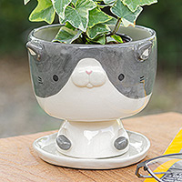 Ceramic mini flower pot, 'Bicolor Kitty' - Cat-Shaped Ivory Grey Ceramic Mini Flower Pot with Saucer
